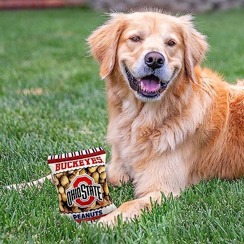 Pets First NCAA Ohio State Buckeyes Crinkle FINE Plush Dog & CAT Squeak Toy - Cutest Stadium Peanuts Snack Plush Toy for Dogs & Cats with Inner Squeaker & Beautiful Baseball Team Name/Logo