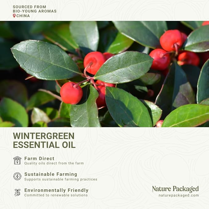 Wintergreen Essential Oil - Direct from Bio-Young Aromas China - Steam Distilled - Aceite de Gaulteria for Aromatherapy, Massage, Diffuser, DIY Candle and Soap Making - 2lbs