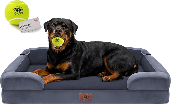 Waterproof Orthopedic Dog Bed for Extra Large Sized Dogs | Memory Foam Pet Bed Sofa with Bolster, Dog Couch with Washable Cover & Non-Slip Bottom, 45x35 Inch, Dark Grey