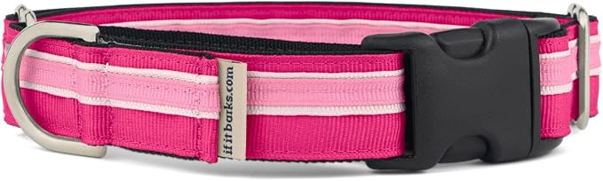 If It Barks 1" Martingale Collar with Quick Snap Release Buckle, Adjustable, USA Made, Small, Bubble Gum