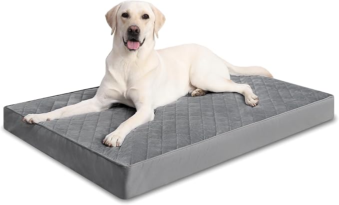 NUPIDA Orthopedic Large Dog Bed for Crate with Washable Cover, 35x22 | Egg-Crate Foam, Cozy Velvet Pet Mattress, TPU Waterproof Layer, Flat Kennel Pad, Comfy Support, Non-Slip Bottom
