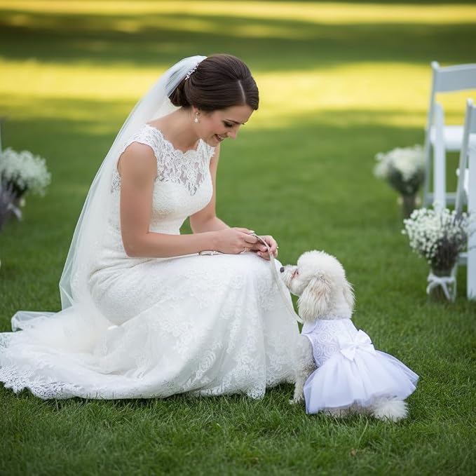 ASENKU Dog Dress Pet Wedding Dress Puppy Birthday Party Outfit, White S | Dog Flower Girl Dress With Leash Hole, Princess Puppy Dress For Weddings, Daily Wear, Fits Small Medium Large Dogs Cats