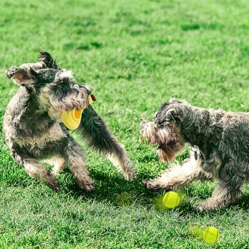 Andiker Dog Squeaky Toy with Plush Crinkle Fabric and Puppy Tennis Balls Inside, Cute Fruit Shapes Creative Dogs Chew Toy Interactive Dog Toys for Indoor Dogs Chasing Chewing Entertaining (Banana)