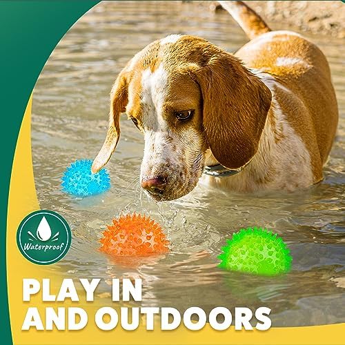 PUPTILY 2 Different Functions Interactive Ball for Dogs 2.5” Squeaky Dog Balls Toys and Puppy Teething Chew Toy Balls for Small Dogs for Clean Teeth and Training （5Pcs）