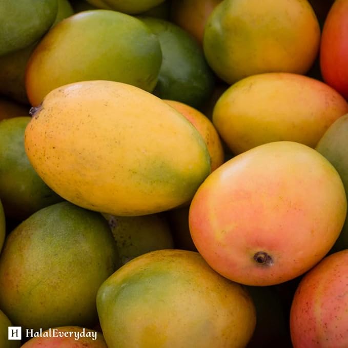 KYABO 3Lbs MANGO BUTTER PREMIUM Organic Unrefined Raw Virgin 100% Pure Cold Press Grade A Non GMO 100% Natural For Skin BodyCare Beauty Moisturizer DIY For Body Butters, Soap Making,Lotions, Creams…