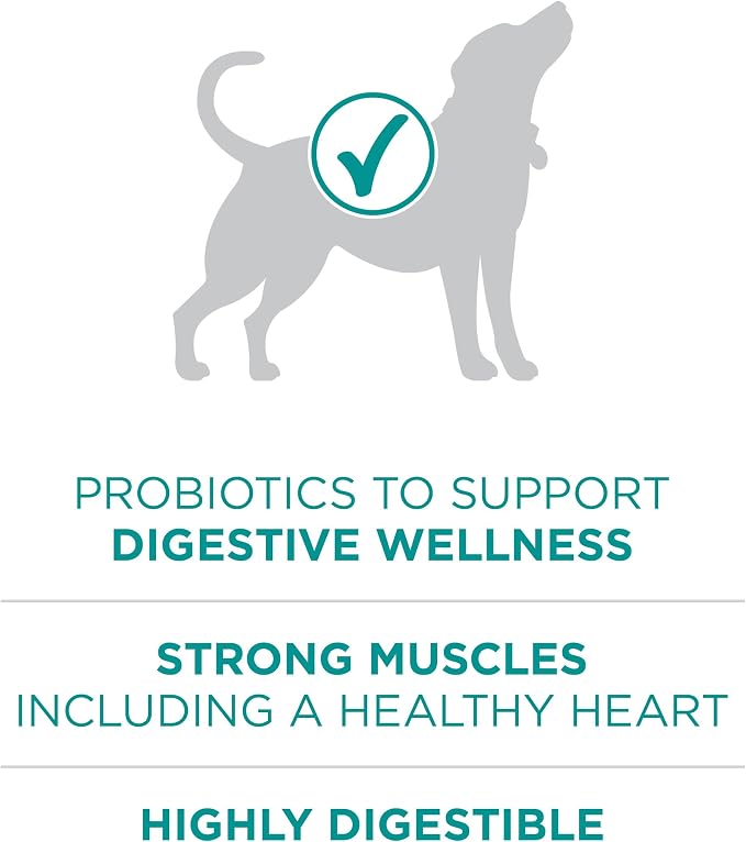 Purina ONE Plus Digestive Health Dry Dog Food, Chicken, 31.1 lb Bag | High protein dog food with probiotics for digestive support, made for adult dogs with sensitive stomachs