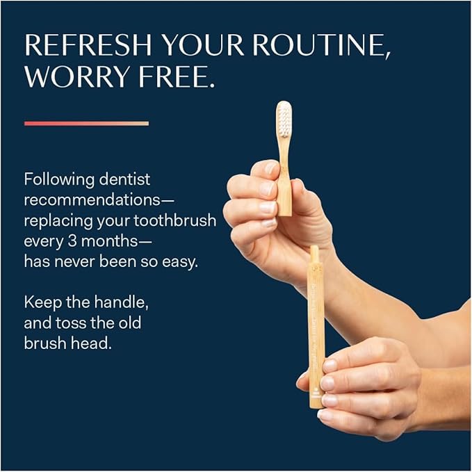 Better & Better Natural Bamboo Toothbrush | Soft Bristles | 100% Plant-Based | Reusable Handle and Replaceable Brush Head | Eco-Friendly, Zero Plastic | Adult Size, Blue