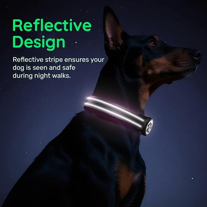 Premium Airtag Dog Collar，with IP68 Waterproof AirTag Holder,Purple,XS | Soft,Breathable,Nylon Padded,Reflective,Ultra-Durable Buckle,Adjustable,Comfortable for Small Medium Large Dogs