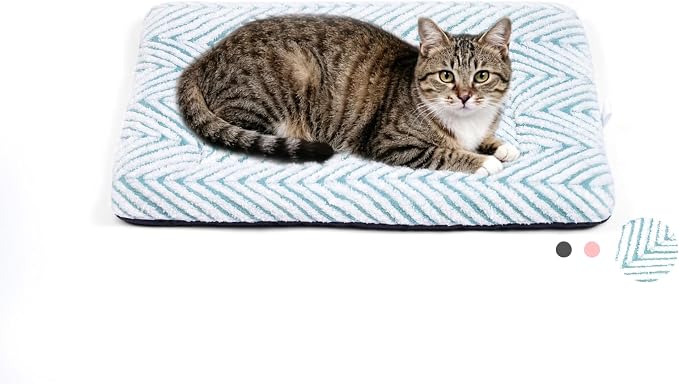 Mora Pets Cat Beds for Indoor Cats Washable Cat Mat Bed Flat Dog Crate Pad | Ultra Soft Cat Bed for Carrier, Puppy Crate Pad for Dog Cages Cozy Sleeping Liner, Small Cat Pillow Cushion Anti Slip 22 x 13