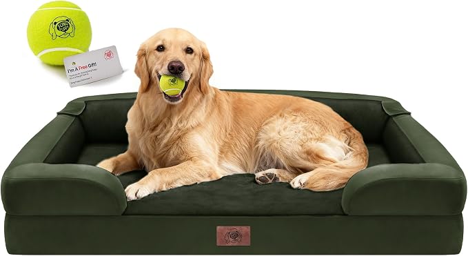Waterproof Orthopedic Dog Bed for Extra Large Sized Dogs | Memory Foam Pet Bed Sofa with Bolster, Dog Couch with Washable Cover & Non-Slip Bottom, 42x30 Inch, Oliva Green