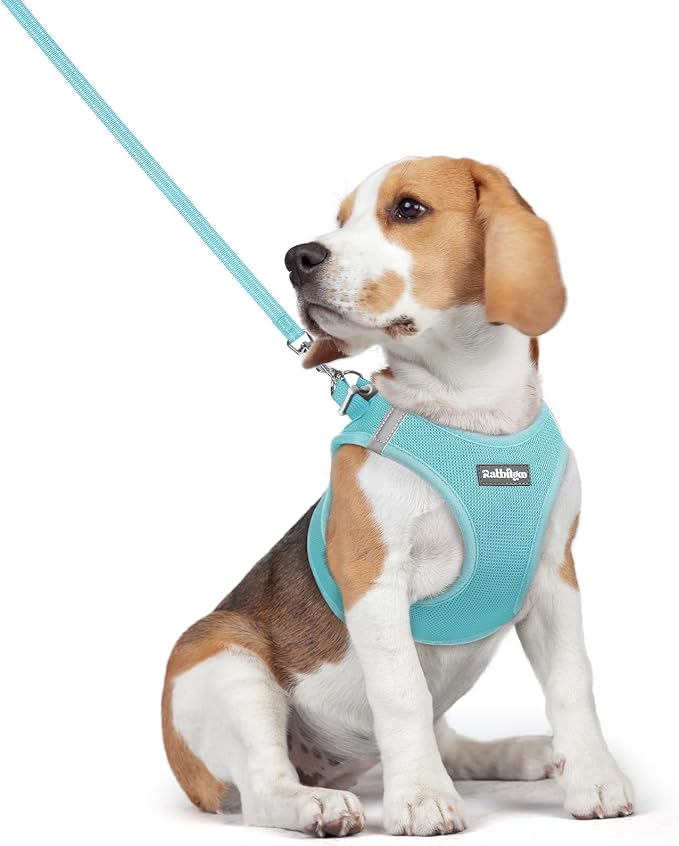 rabbitgoo Dog Harness Medium Sized and Leash Set, Step-in Puppy Pet Vest | Light, Soft, Breathable Air Mesh, Easy on and Remove with Hook & Loop, Secure Reflective for Walking, Mint Blue L