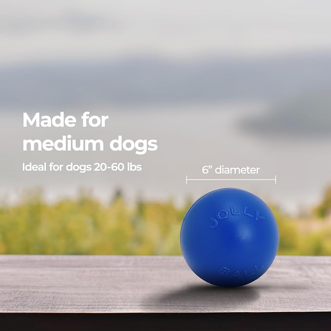 Jolly Pets Push-n-Play Ball Dog Toy, 6 Inches/Medium, Blue (306)