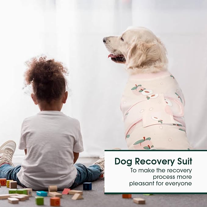 Kuoser Recovery Suit for Dogs Cats, Soft Dog Surgery Suit Female Male Spay | Professional Dog Onesie for Surgery, Substitute E-Collar & Cone, Prevent Licking Dog surgical suit Pet Neuter Suit