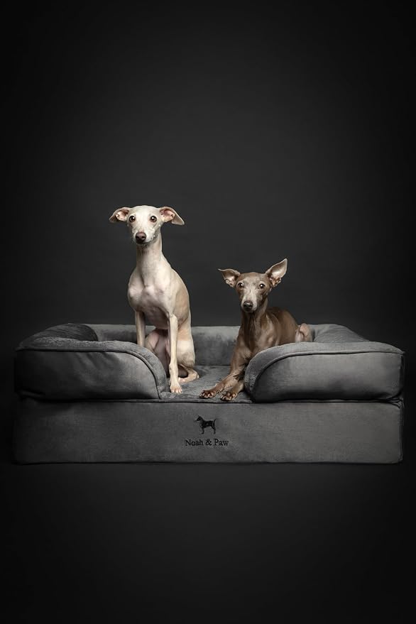 NOAH & PAW Large Dog Bed, 35x25x11 Inch, Orthopedic Dog Beds, Eggshell Memory Foam Infused with Cooling Gel, Inner Cover, Water Resistant, Machine Washable (Velvet Sofa Collection)