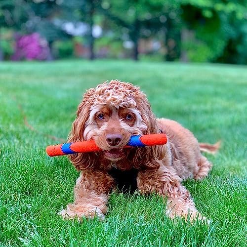 Chuckit! Ultra Fetch Stick Interactive Dog Toy, 12in, All Breeds | Crafted from the Same Durable Rubber as the Ultra Ball, This Fetch Stick Offers Bright Visibility for Outdoor Fetch Games