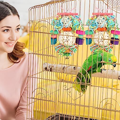 BBjinronjy Bird Toys,2PCS Hanging Natural Soft Sola Ball Beak Chew Shred Forage Toys for Parrots,Cockatiel,Conure,Love Birds,Parakeets,Budgie and Other Small Birds