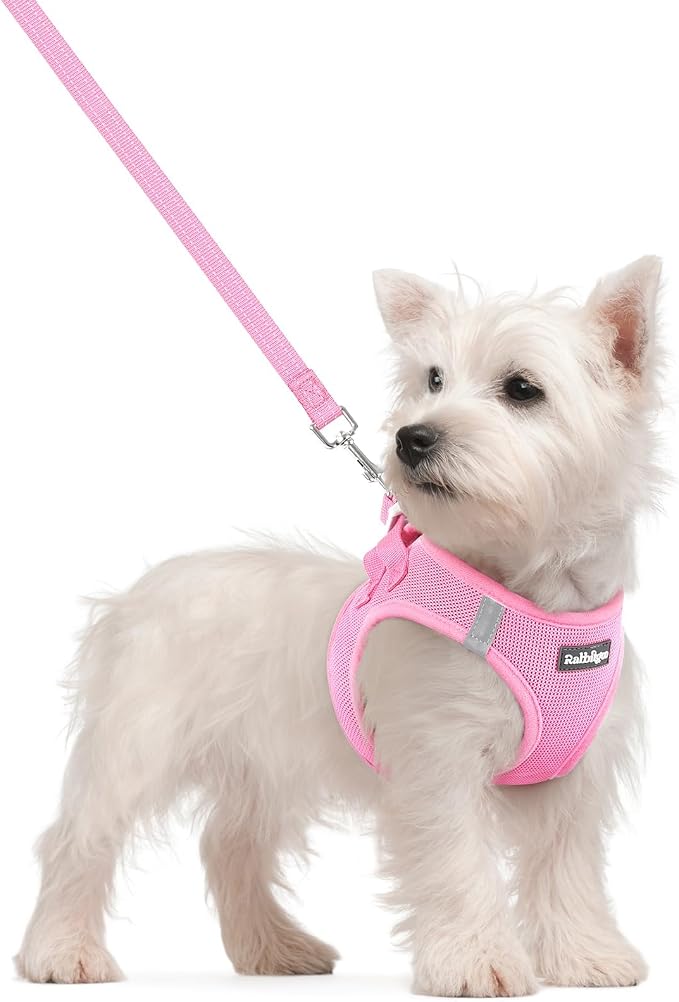 rabbitgoo Dog Harness Small Sized and Leash Set, Step-in Puppy Pet Vest | Light, Soft, Breathable Air Mesh, Easy on and Remove with Hook & Loop, Secure Reflective for Walking, Light Pink S