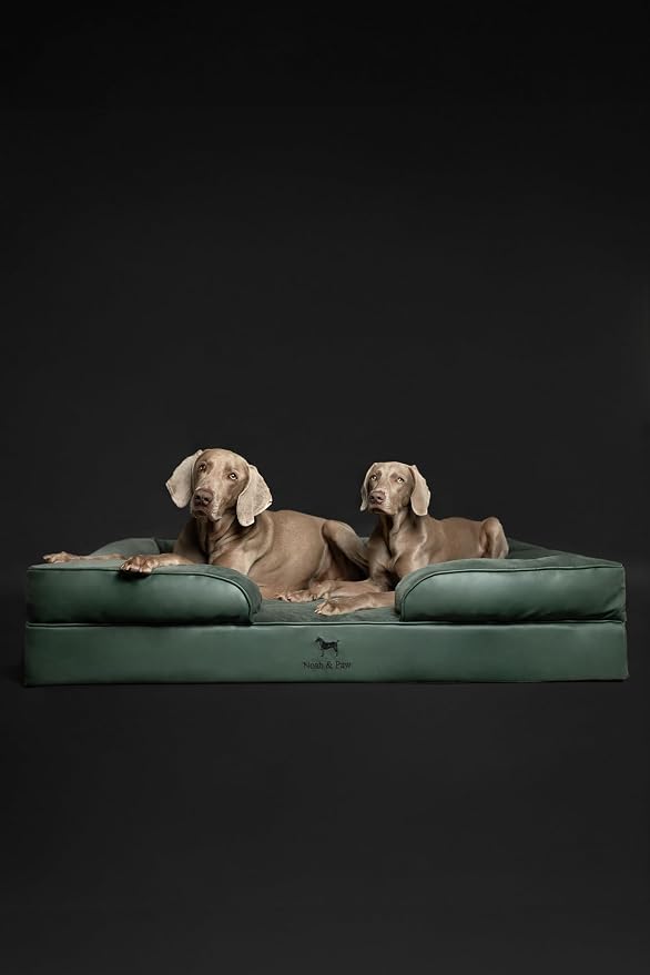NOAH & PAW Giant Dog Bed XXL, 55x45x11 Inch, Orthopedic Dog Beds, Eggshell Memory Foam Infused with Cooling Gel, Inner Cover, Water Resistant, Machine Washable (Faux Leather)
