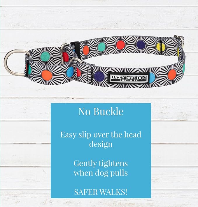 Lucky Love Dog Martingale Collar for Small Dogs No Slip Cute – SOCO, Small