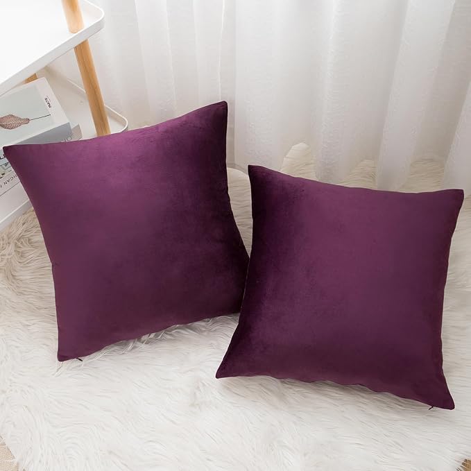 Velvet Decorative Throw Pillow Covers, Soft Square Cushion Case Home Decor for Living Room Couch Bed Sofa, Set of 2 Pack, Eggplant Purple, 20x20 Inch