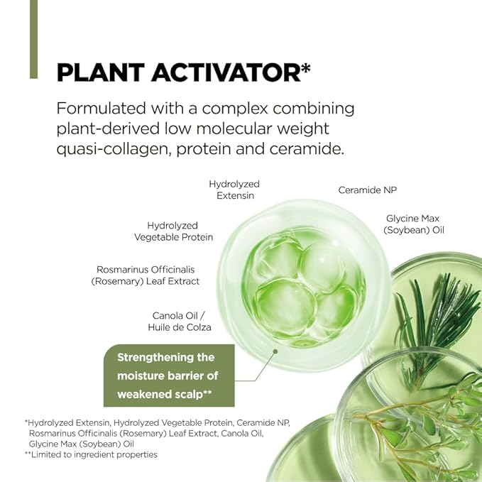 AMOS PROFESSIONAL Botanic Calm Activating Shampoo l Vegan Scalp & Hair Strengthening Shampoo with Rosemary and Biotin, Sulfate Free, 16.9 fl. oz.