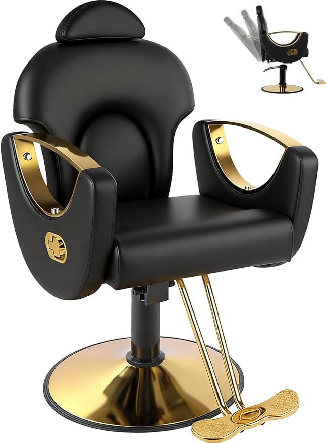 Black Salon Chair for Hair Stylist, Professional Barber Chairs Barbershop Hair Stylist Chair with Heavy Duty Hydraulic Pump, 360° Braiding Styling Hairdresser Chairs for Spa Home Euipment, Cold Black