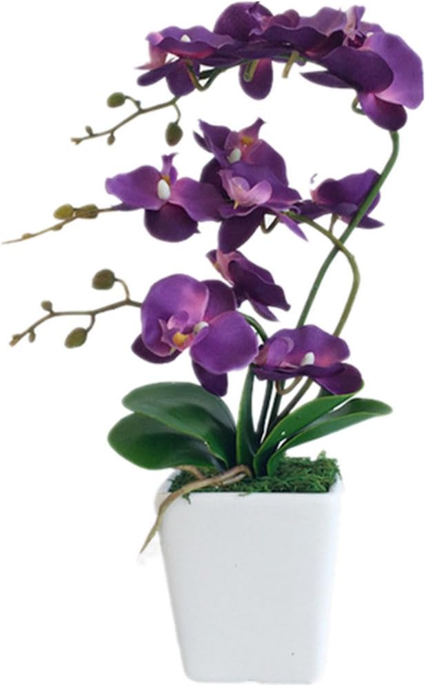 15" Silk Phalaenopsis Orchid in Square Pot, Dark Purple Flower Arrangements | Lifelike Faux Potted Blooms with Moss in a Ceramic Planter. Looks Real, Zero Upkeep, Ideal Centerpiece for Any Table