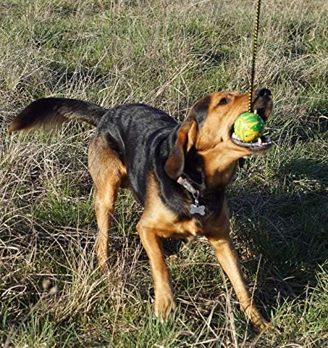 Dingo Fetch Ball Made of Hard Rubber with Knobs and String, Small, for Aport Game Dog Training 17321