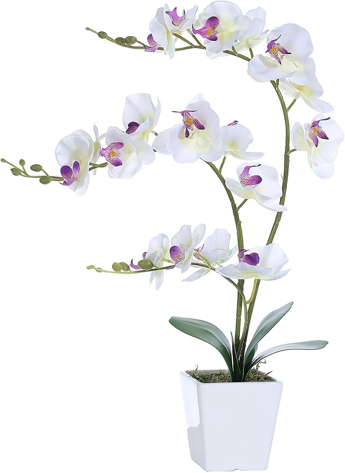 Faux Orchid in Vase Tall Artificial Orchid in Ceramic Vase Tall Silk Orchids with Stems Real Look Potted Fake Phalaenopsis Arrangement Centerpiece Table Decorations for Home Decor Indoor, White