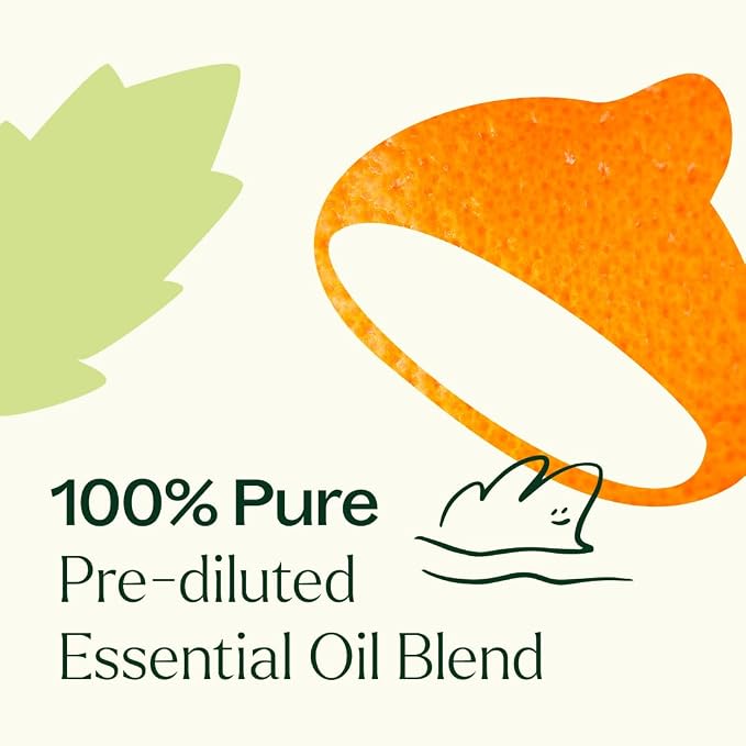 Plant Therapy Motion Sickness Essential Oil Blend Pre-Diluted Roll-On 10 mL (1/3 oz) Helps Ease Motion-Related Discomfort, Great for Road Trips & Flights, Convenient & Ready to Use