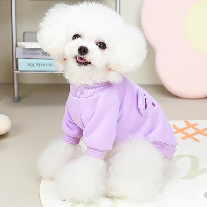 Purple Cute Dog Sweater Soft Winter Clothes for Small Dogs, XL | Classic Purple Knit Pullover, Fall Winter Outfit, Elastic Cuffs, Holiday Party Matching, Machine Washable Sweatshirt for Pets