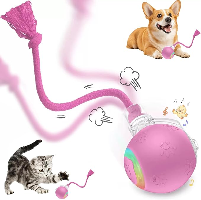 Speed 2.0 Tail Interactive Cat Toys, Rechargeable Ball for Indoor Cats