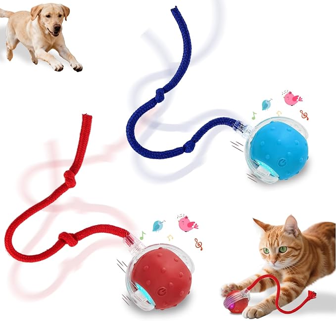 Interactive Cat Toys Smart Ball for Cats & Dogs! Now with 2 Rapid Tails. Features: 360°Auto-Rolling, Motion Activation& Bird Sounds. Perfect for Indoor Pet Exercise & Fun. (Red＆Blue)