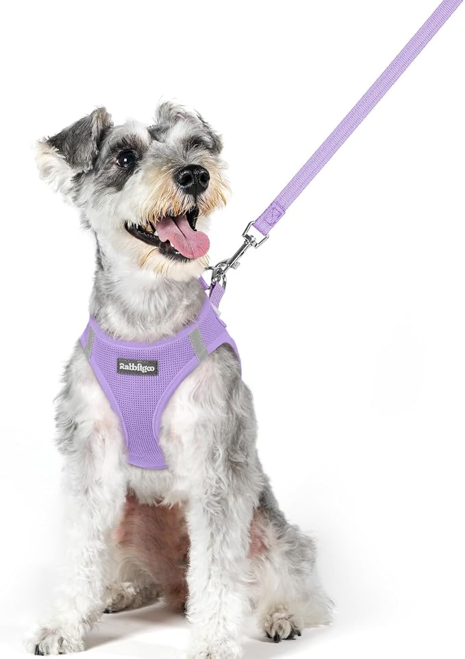 rabbitgoo Dog Harness Medium Sized and Leash Set, Step-in Puppy Pet Vest | Light, Soft, Breathable Air Mesh, Easy on and Remove with Hook & Loop, Secure Reflective for Walking, Light Purple XL