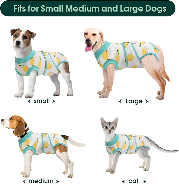 Kuoser Recovery Suit for Dogs Cats, Soft Dog Surgery Suit Female Male Spay | Professional Dog Onesie for Surgery, Substitute E-Collar & Cone, Prevent Licking Dog surgical suit Pet Neuter Suit