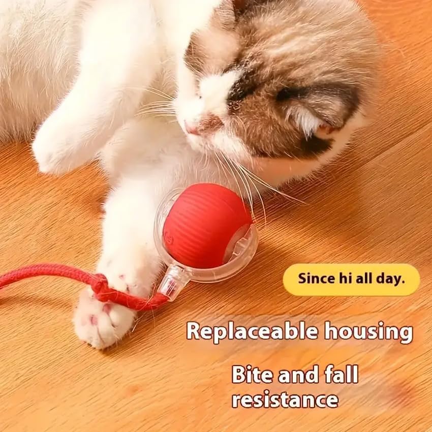 Cat and Small Dog Toy Ball with Tail Rope, Red