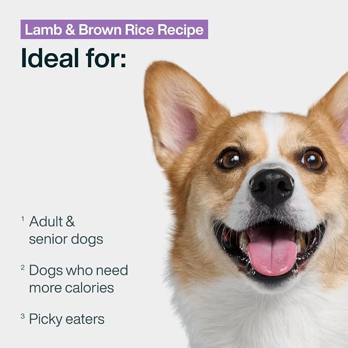 JustFoodForDogs Pantry Fresh Wet Dog Food, Complete Meal or Dog Food Topper, Lamb & Brown Rice Human Grade Dog Food Recipe - 12.5 oz (Pack of 12) | Fresh Pet Meal or Fresh Dog Food Topper, Human Grade Recipe Made With Whole Foods, Preservative-Free, 12...