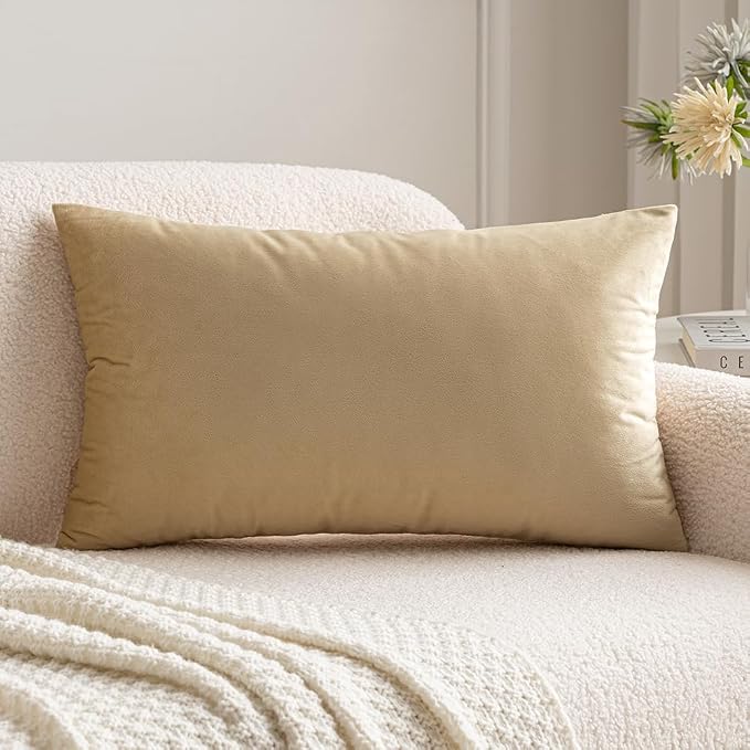 MIULEE 12x20 Inch Lumbar Velvet Throw Pillow Cover Set of 1 Beige | Soft Luxury Decorative Throw Pillow Cover, Single Rectangle Cushion Case, Home Decor for Chair Couch Sofa Bedroom Car Bed
