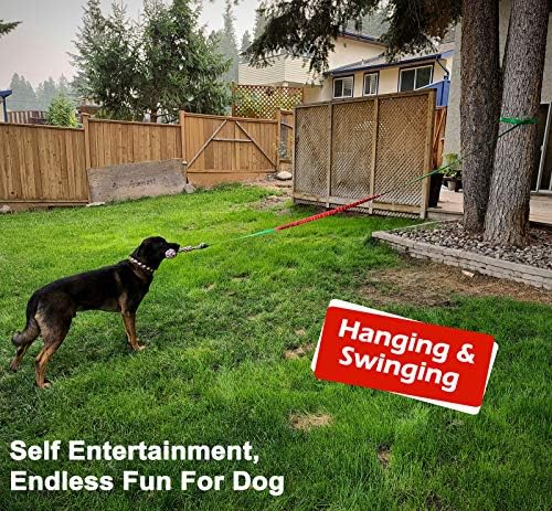 LOOBANI Outdoor Bungee Tug Toy, Interactive Dog Tree Hanging Toys, Green