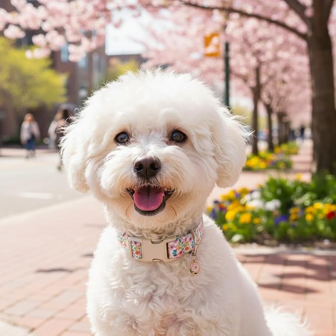 Dog Collar, Floral Girl Dog Collar with Pink Flowers, Cute Spring Summer Pattern for Girls Boys Small Medium Large Dogs, Soft Puppy Collar