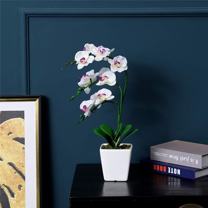 15" Silk Phalaenopsis Orchid in Square Pot, White Flower Plant Arrangements | Lifelike Faux Potted Blooms with Moss in a Ceramic Planter. Looks Real, Zero Upkeep, Ideal Centerpiece for Any Table