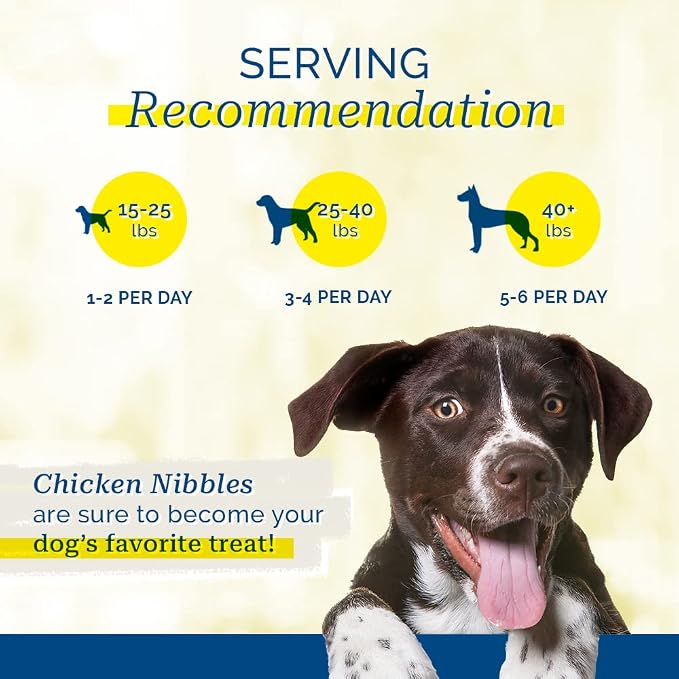 PCI Pet Center Inc. Chicken Nibbles Raw Dehydrated Chicken Breast Dog Treats, 1 Pound Container,16 oz,CHK-101
