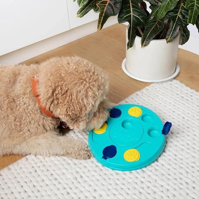 ZippyPaws - SmartyPaws - Puzzler Dog Toy - 3 in 1 Interactive Dog Toy Puzzle, Teaches Problem Solving Skills, Teal