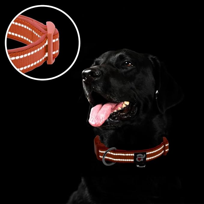 azuza Reflective Dog Collar, Neoprene Padded Small Dog Collar, Rust Red, S