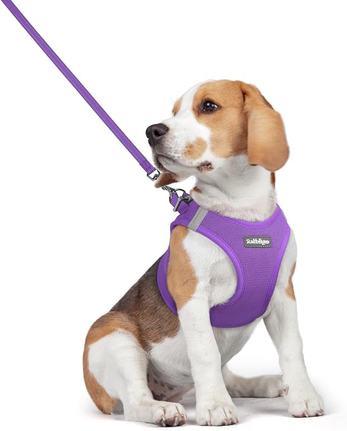 rabbitgoo Dog Harness Medium Sized and Leash Set, Step-in Puppy Pet Vest | Light, Soft, Breathable Air Mesh, Easy on and Remove with Hook & Loop, Secure Reflective for Walking, Purple L