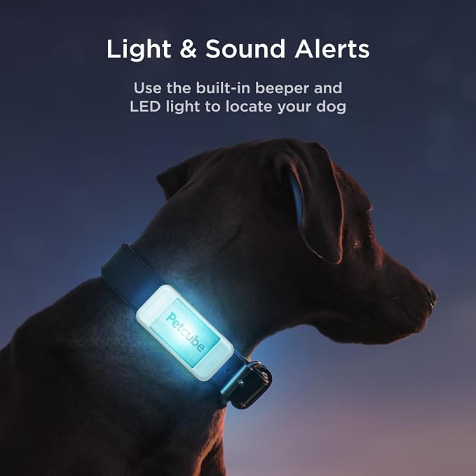 Petcube GPS Tracker for Dogs – Real-Time GPS Tracking | Escape alerts, virtual fences, activity & wellness monitoring, water & dust resistant