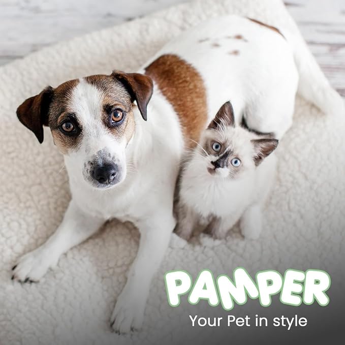 Best Shot Pet Scentament Spa Seasonal Facial & Body Wash, Berry Amaretto, 1 Gallon, Model: S55-Gallon