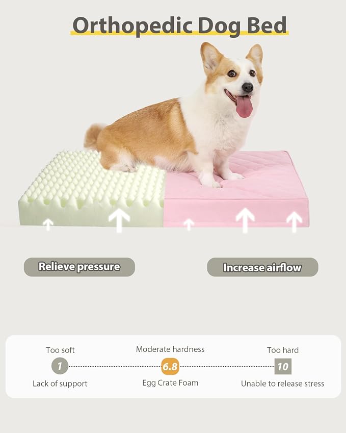 NUPIDA Orthopedic Large Dog Bed for Crate with Washable Cover, 35x22, Pink | Egg-Crate Foam, Cozy Velvet Pet Mattress, TPU Waterproof Layer, Flat Kennel Pad, Comfy Support, Non-Slip Bottom