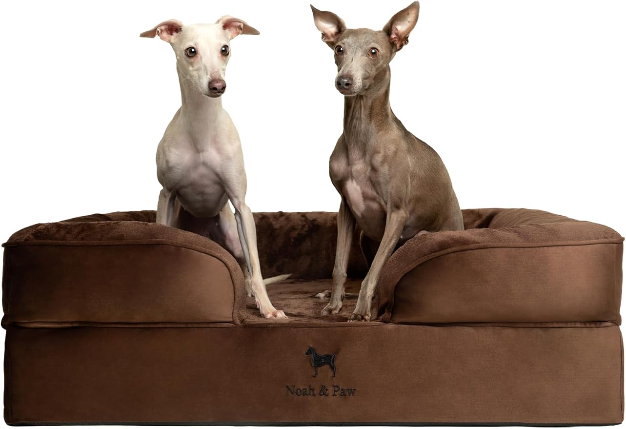 NOAH & PAW Large Dog Bed, 35x25x11 Inch, Orthopedic Dog Beds, Eggshell Memory Foam Infused with Cooling Gel, Inner Cover, Water Resistant, Machine Washable (Velvet Sofa Collection)