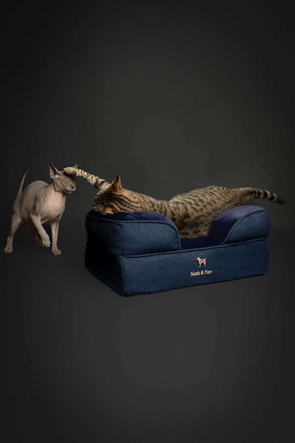 NOAH & PAW Small Dog Bed, 20x15x8 Inch, Cat Bed for Indoor Cats, Orthopedic Eggshell Memory Foam Infused with Cooling Gel, Water Resistant Inner Cover Machine Washable (Denim Collection)